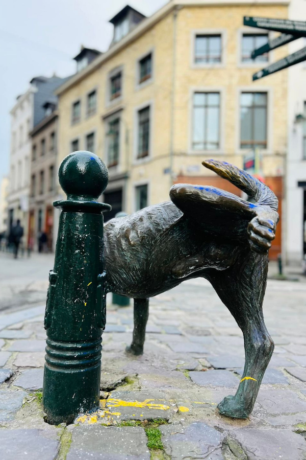 Explore the Hidden Gems & Highlights of Brussels, Belgium in a day — photo 5