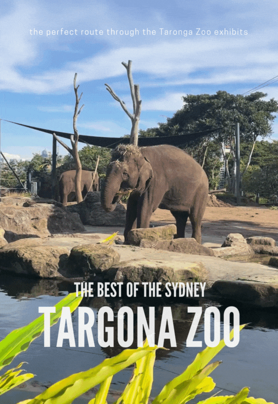 Taronga Zoo - The Best of the Park 