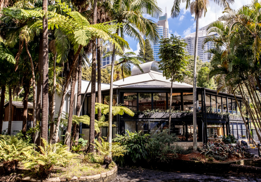 Explore Sydney In A Day — photo 2