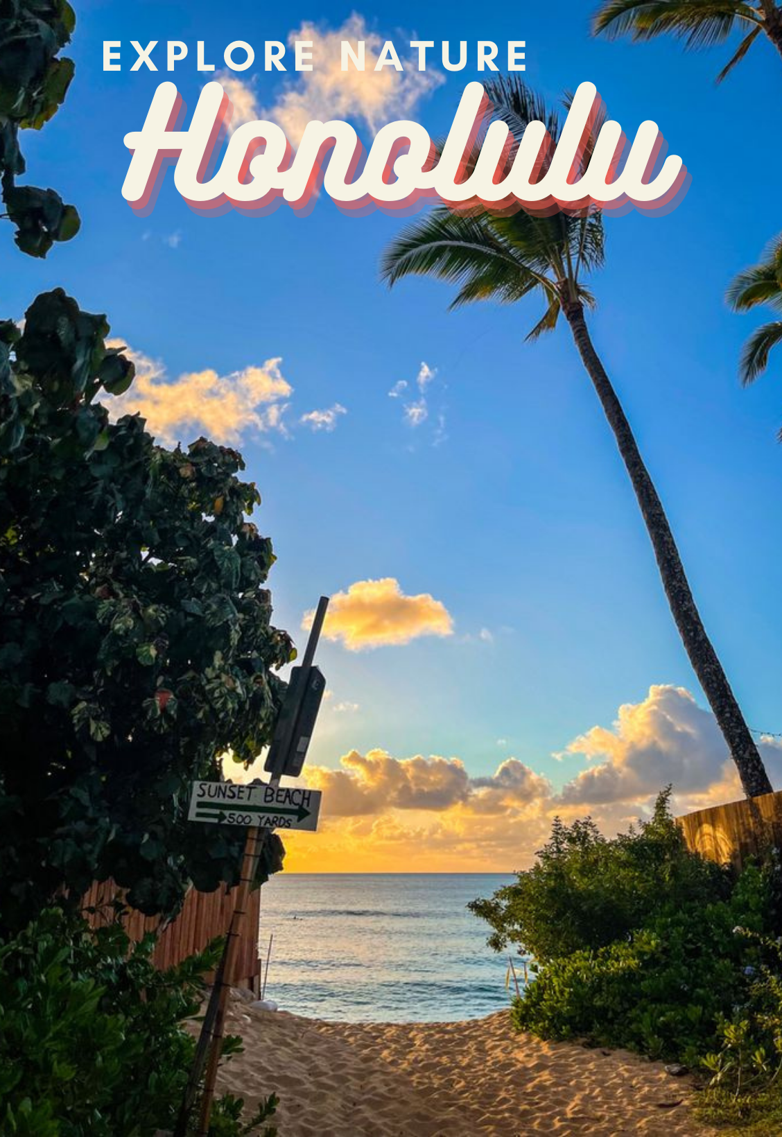 Explore nature in Honolulu  — photo 2