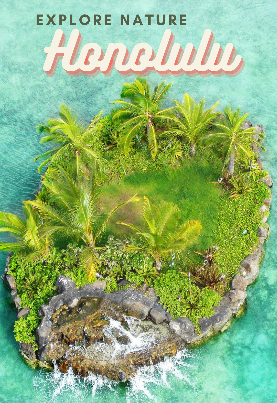 Explore nature in Honolulu  — photo 3