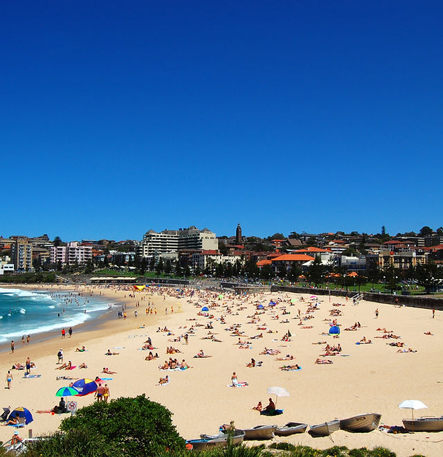 Bondi in a Day