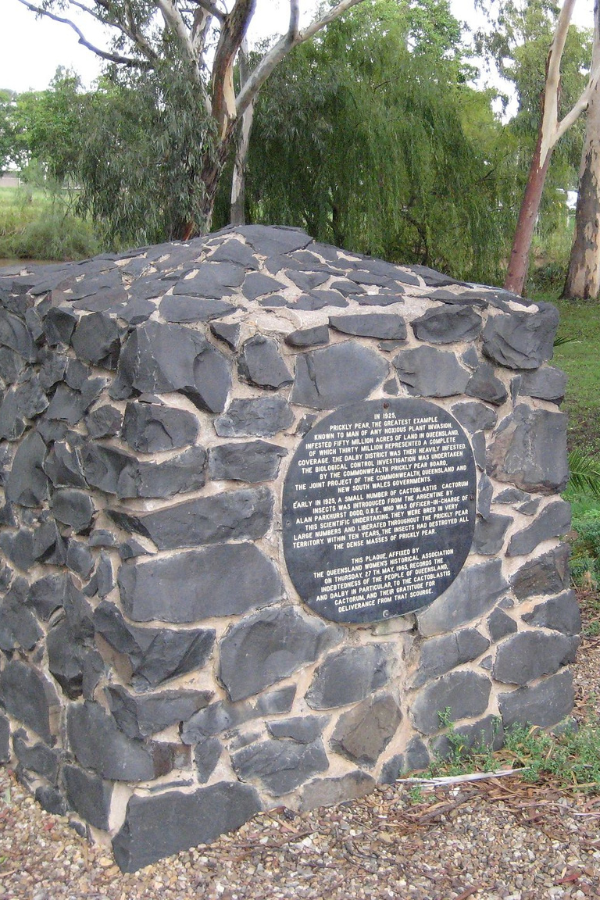 Discovering Dalby: From Railway to Religion — photo 4
