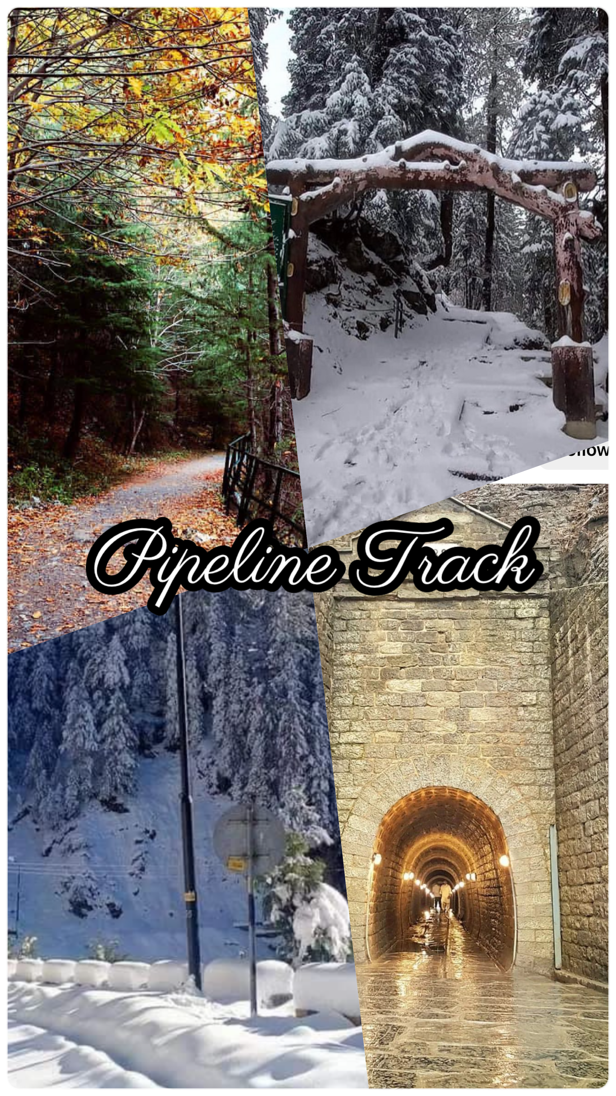 Trekking the Pipeline Track