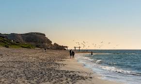 Bondi in a Day — photo 3