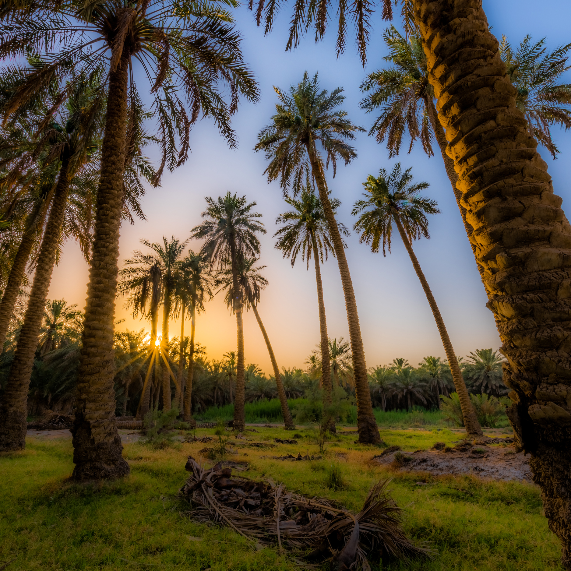 Medina, Saudi Arabia — photo 4