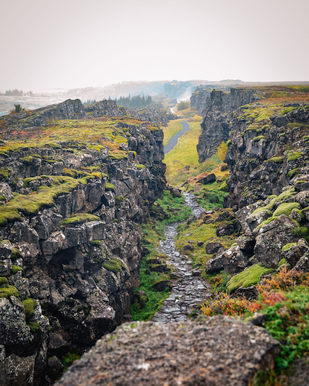 Golden Circle — photo 4