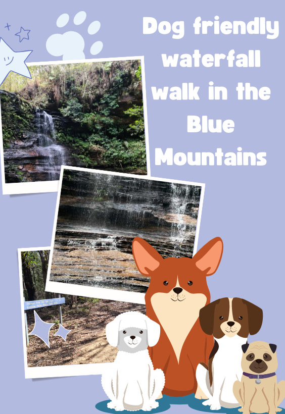 Dog friendly waterfall walk in the Blue Mountains 