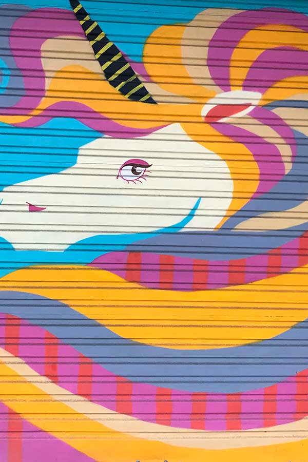 Wellington Urban Art Walk — photo 3
