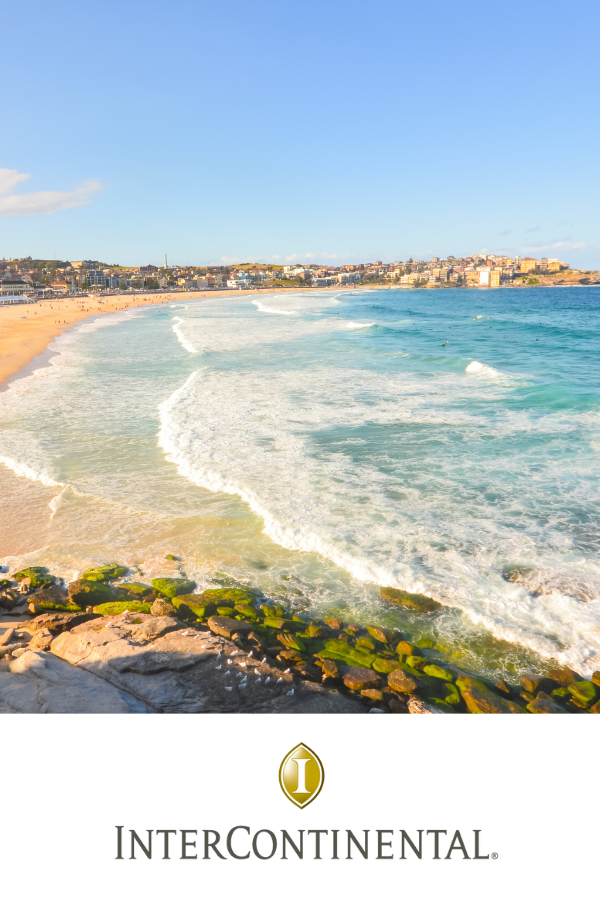Bondi In a Day