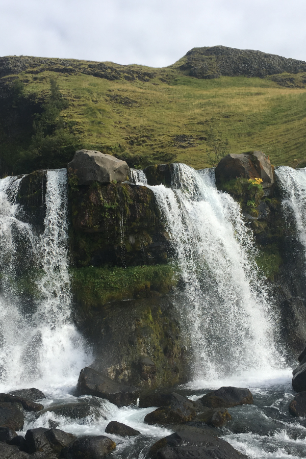 Local Highlights — photo 4