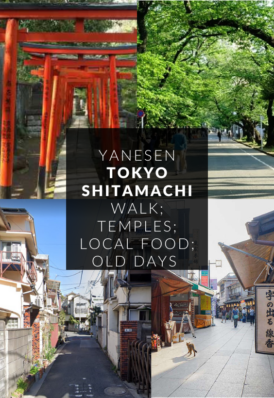 Tokyo Shitamachi (old town) Yanesen walk
