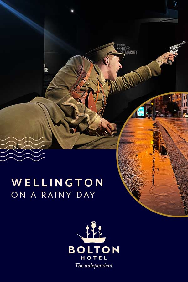 Wellington on a Rainy Day