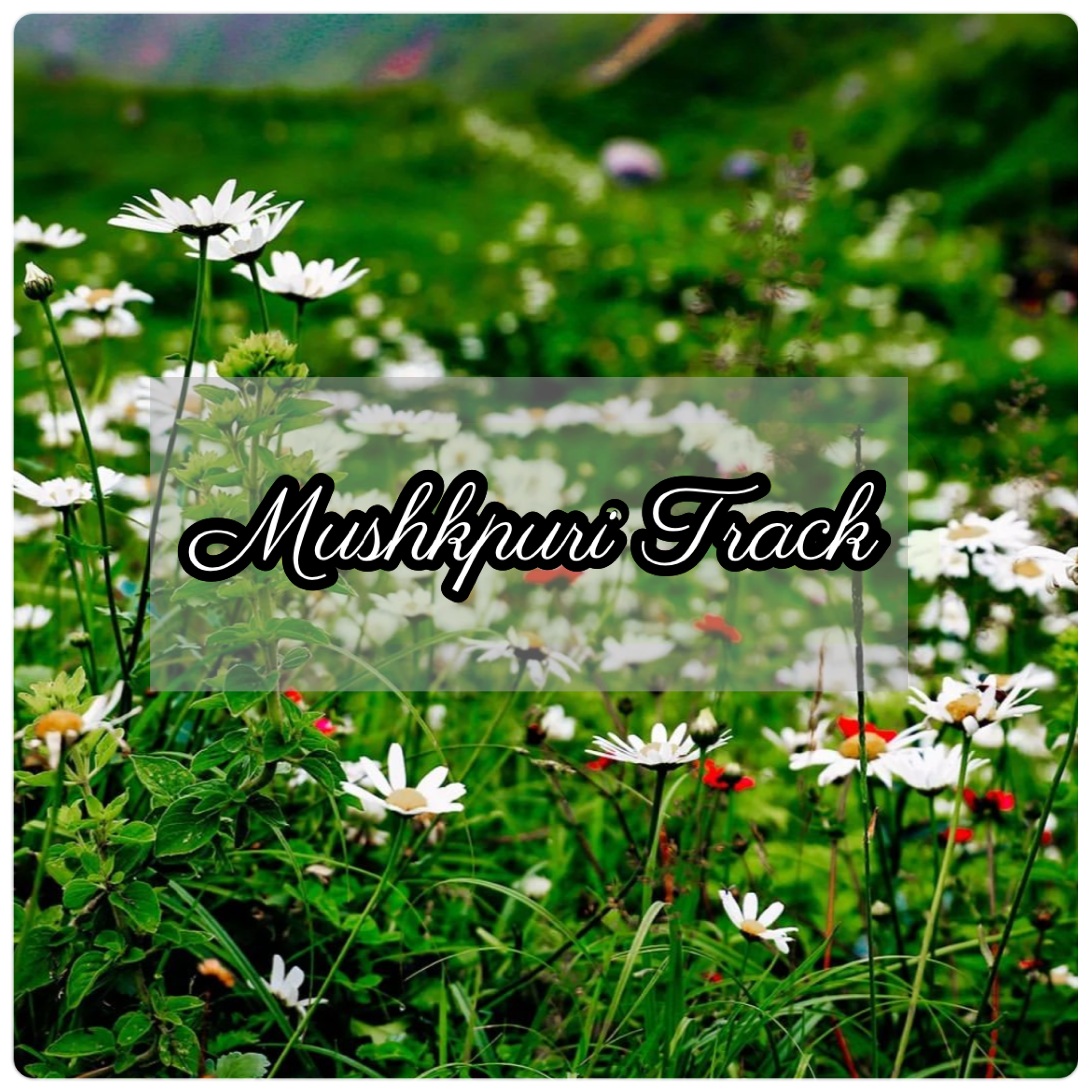 Mushkpuri Track