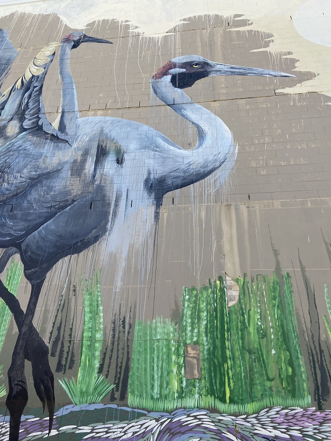 Darwin Outdoor Gallery Trail — photo 7
