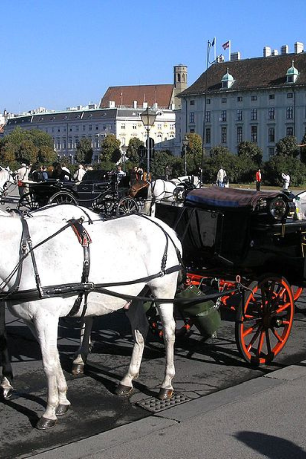 Fun & Unusual Things to Do in Vienna, Austria — photo 3