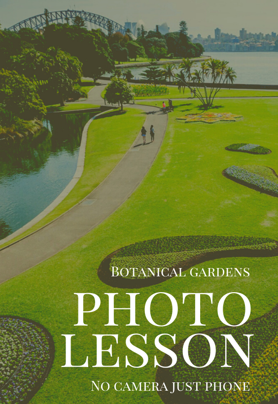 Botanical gardens photography lesson