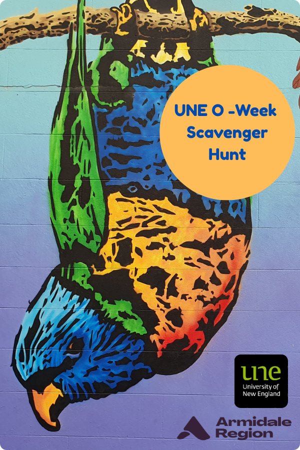 UNE O-Week Scavenger Hunt - Armidale CBD