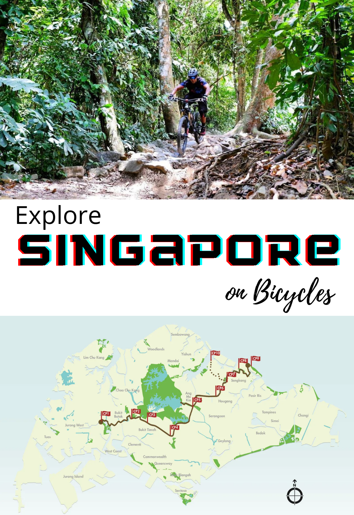 Explore Singapore On Bicycles