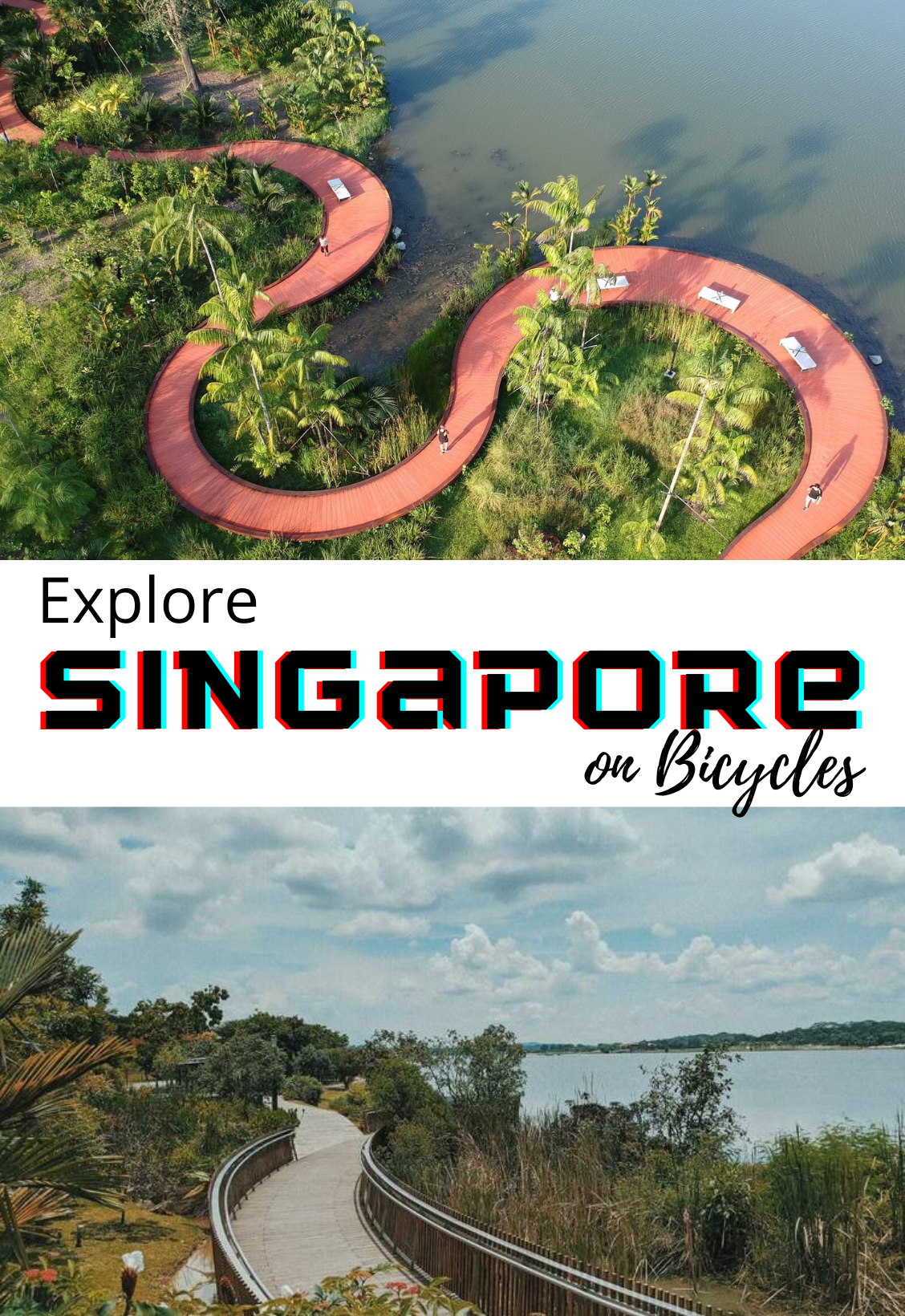 Explore Singapore On Bicycles — photo 2