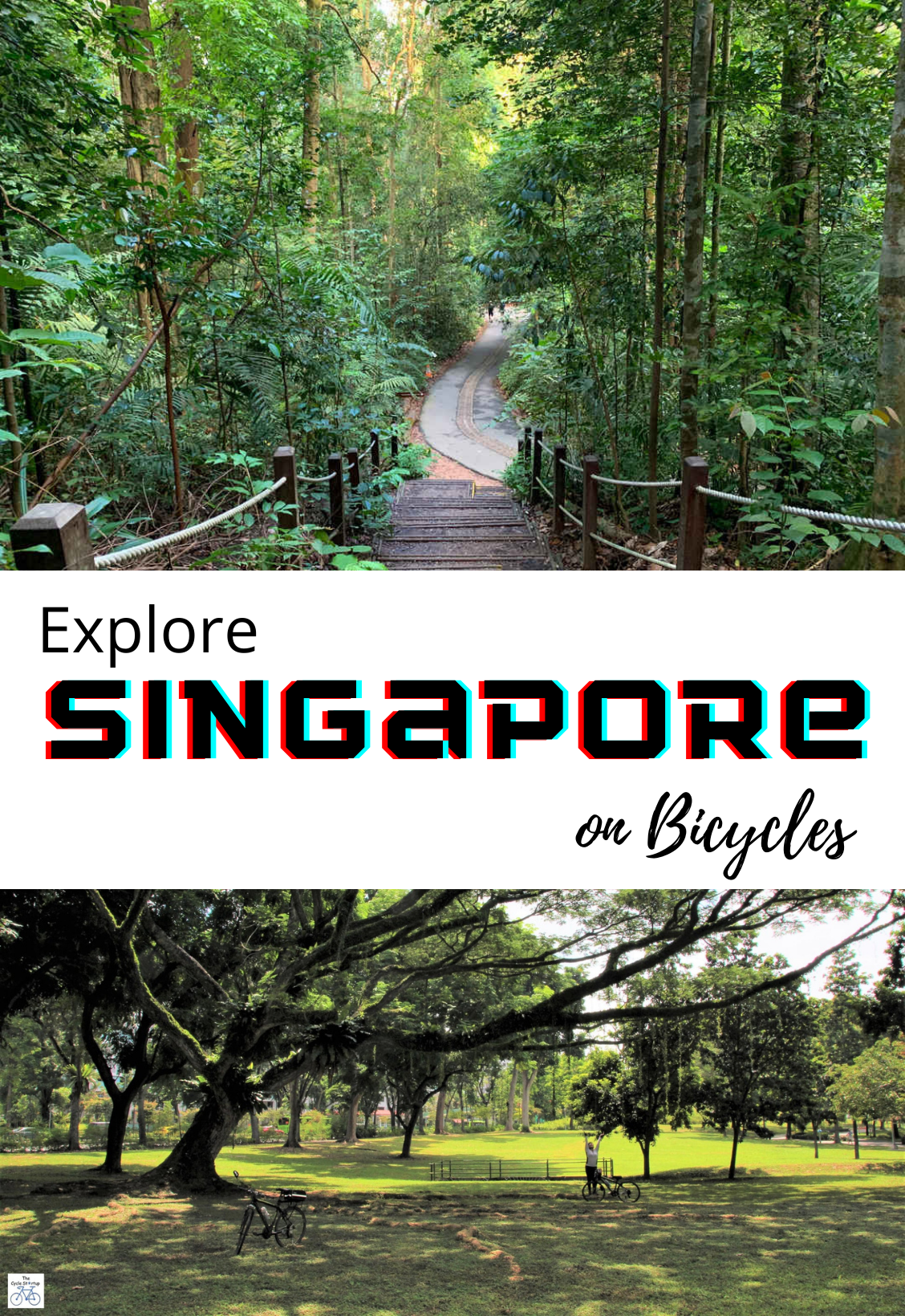 Explore Singapore On Bicycles — photo 3