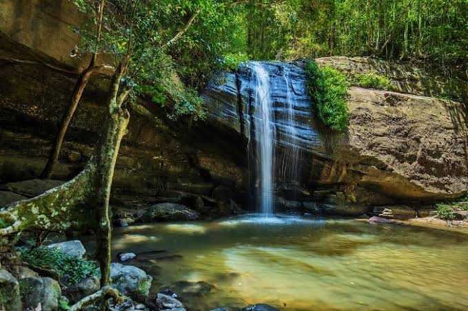 Sunshine Coast's Secret Waterfall Buderim