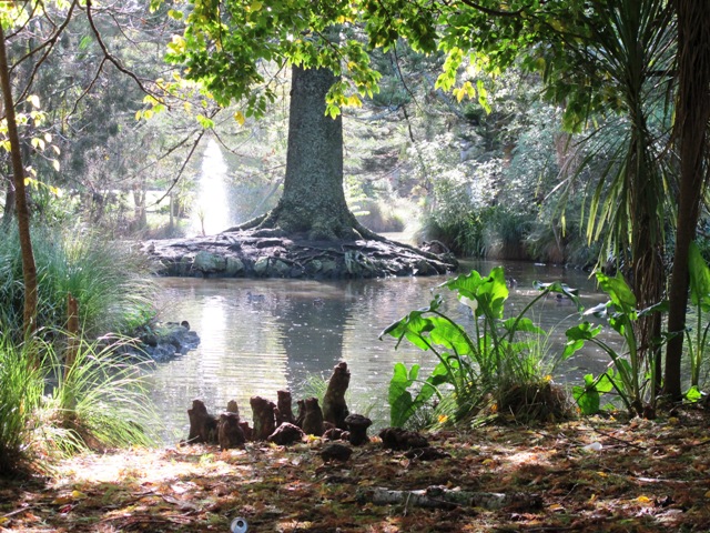 Nature Trail — photo 6