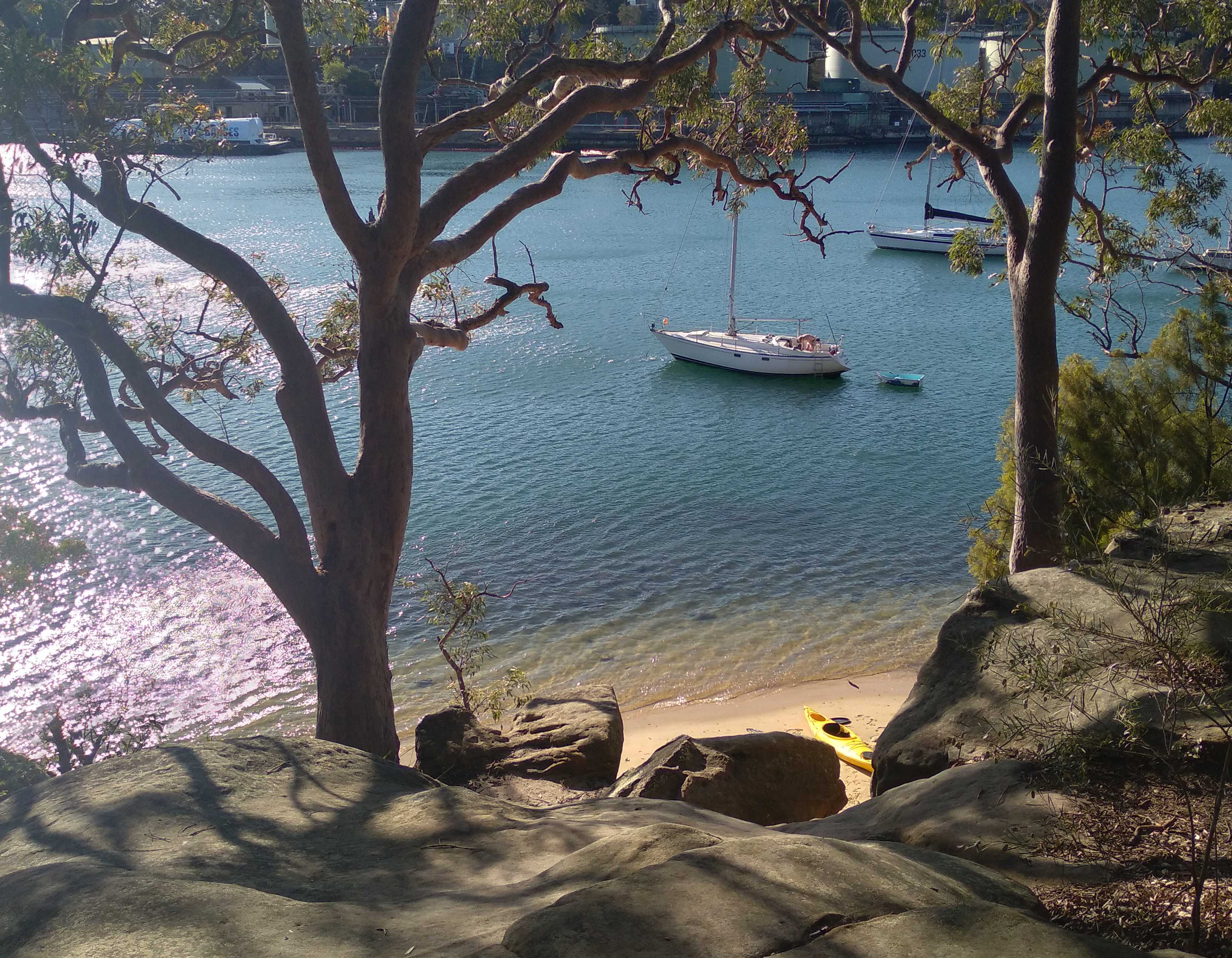 Beautiful Berry Island Loop! — photo 2