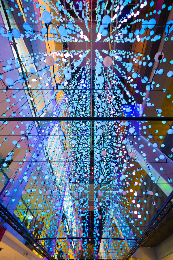 Accessible tour of Vivid 2023 — photo 3