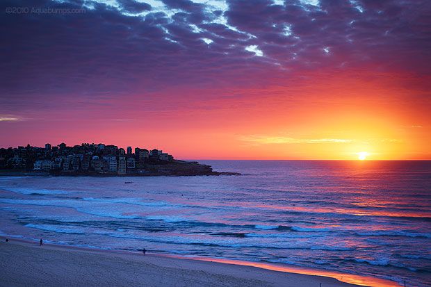 Bondi — photo 5