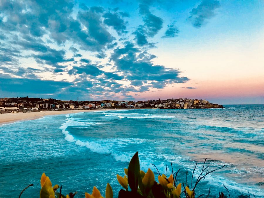 Bondi — photo 6