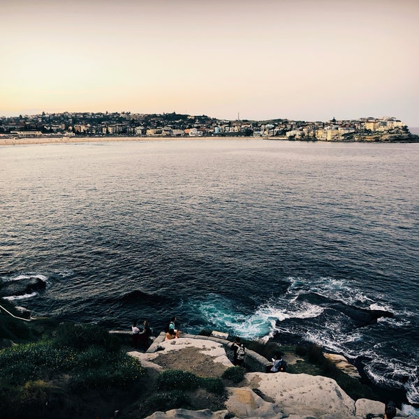 Bondi — photo 7