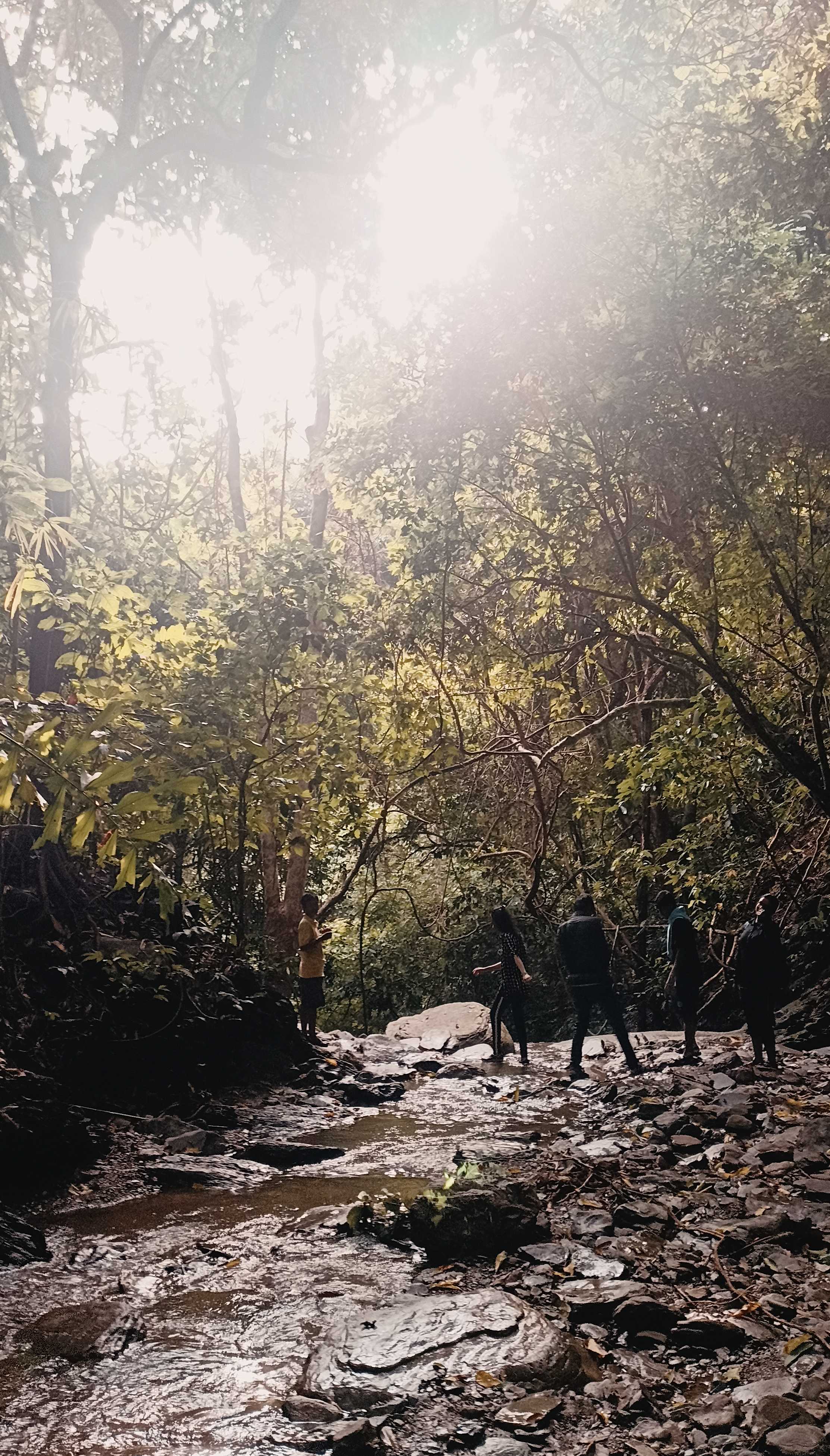Bandarban, To The Evergreen — photo 2