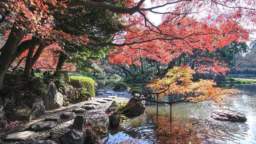 Discover Tokyo In A Day — photo 4
