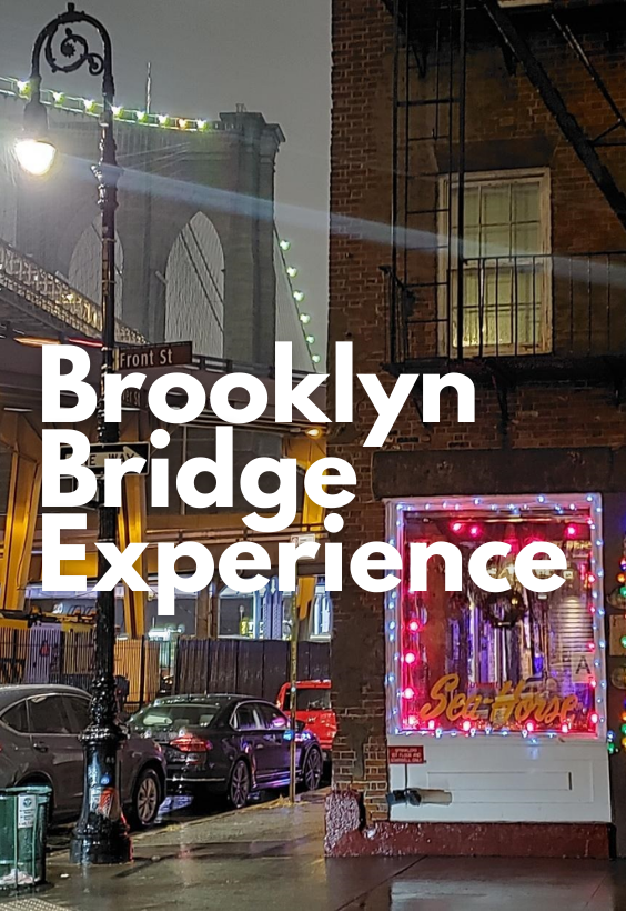 Brooklyn Bridge Experience