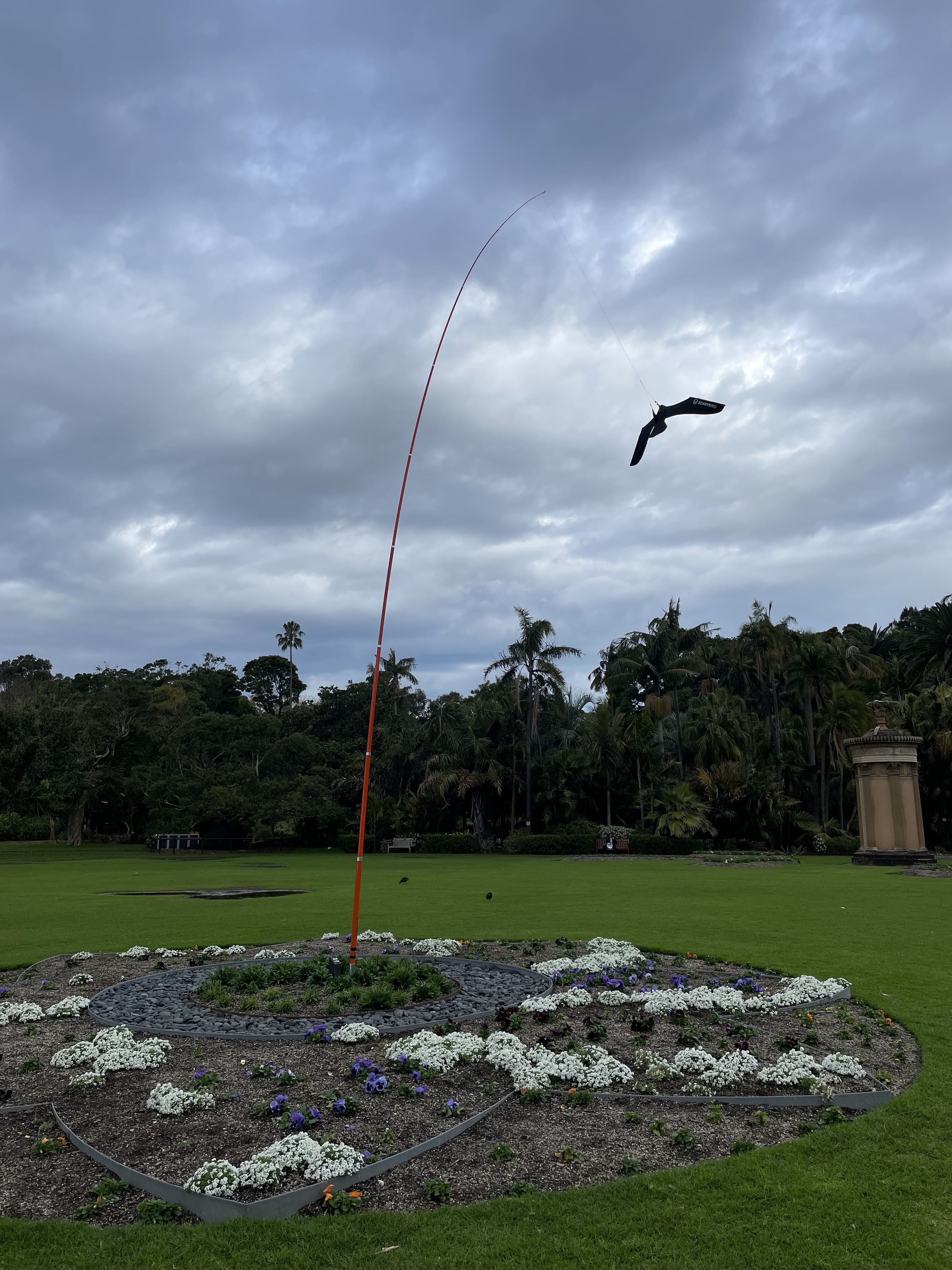 Botanical Gardens Scavenger Hunt — photo 2