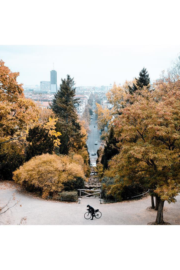 Explore the Hidden Gems & Highlights of Berlin, Germany in a day — photo 5