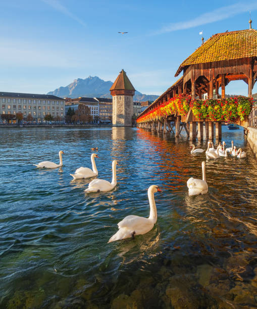 A Day in Lucerne — photo 4