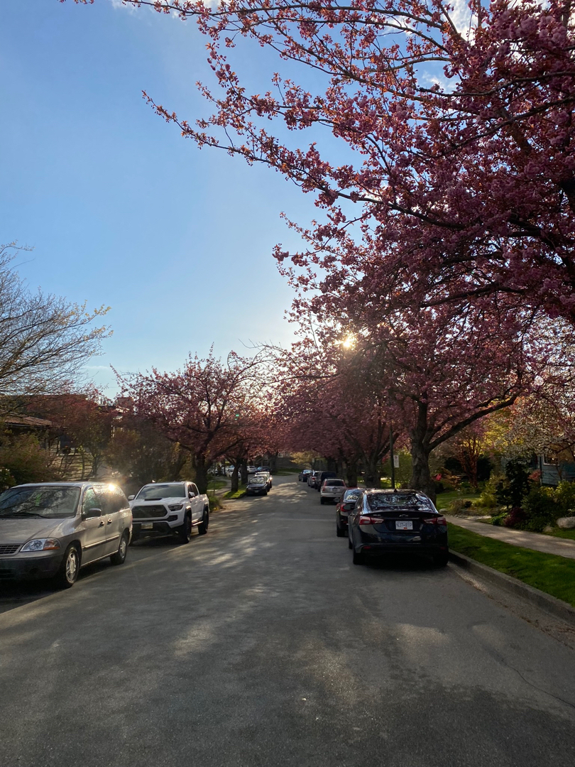 What to do in Vancouver? — photo 3