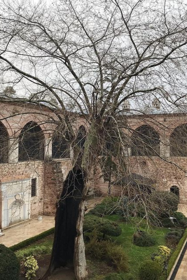 Explore the Hidden Gems & Highlights of Istanbul, Turkey in a day — photo 3
