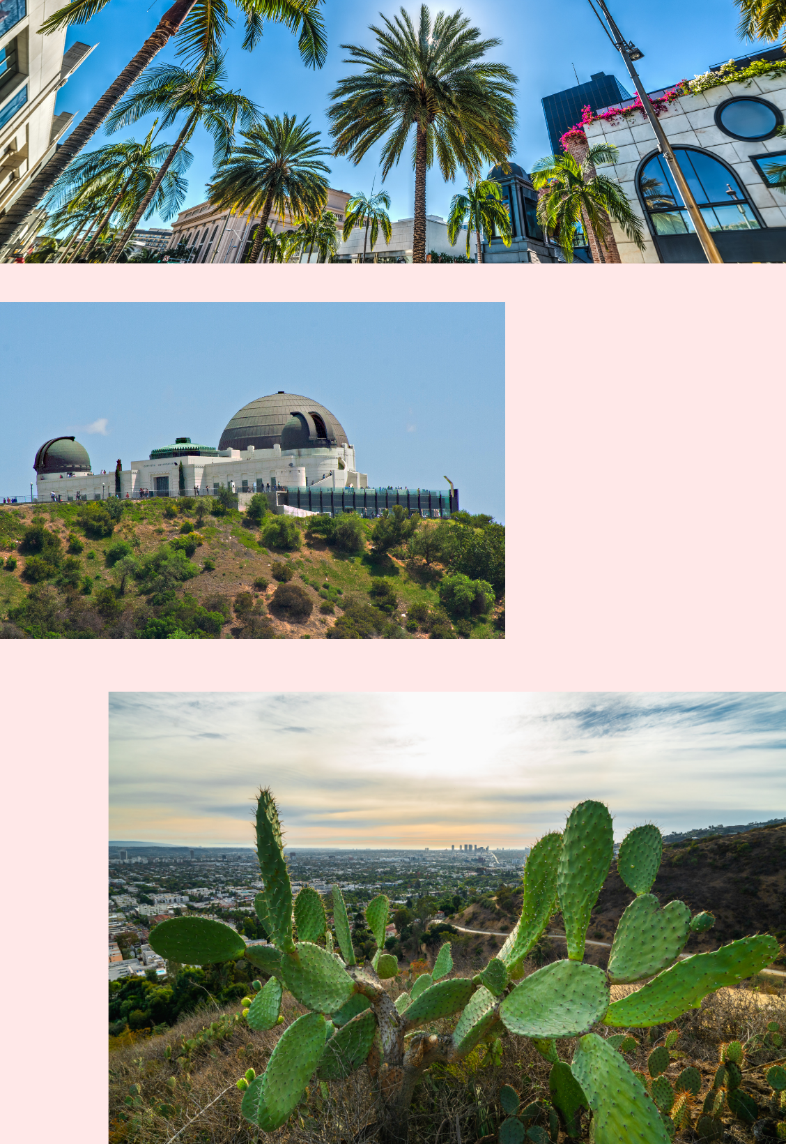Best thing to do in Los Angeles — photo 2