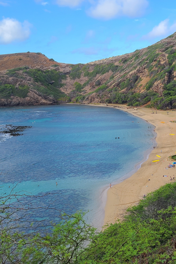 Hike, Snorkel and Poke in Honolulu Hawaii — photo 7