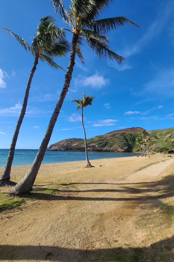 Hike, Snorkel and Poke in Honolulu Hawaii — photo 6