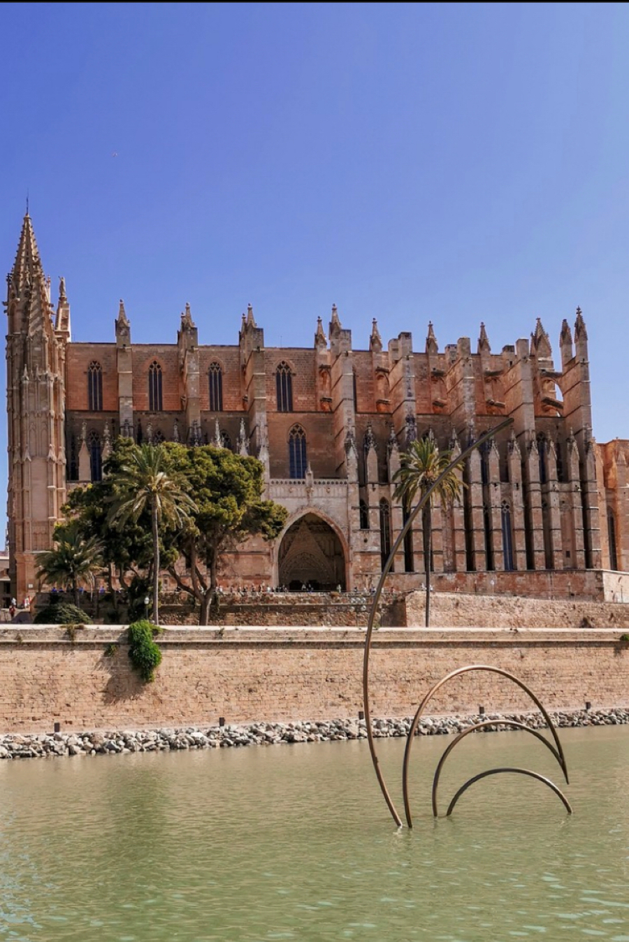 Discovery Palma de Mallorca  — photo 2