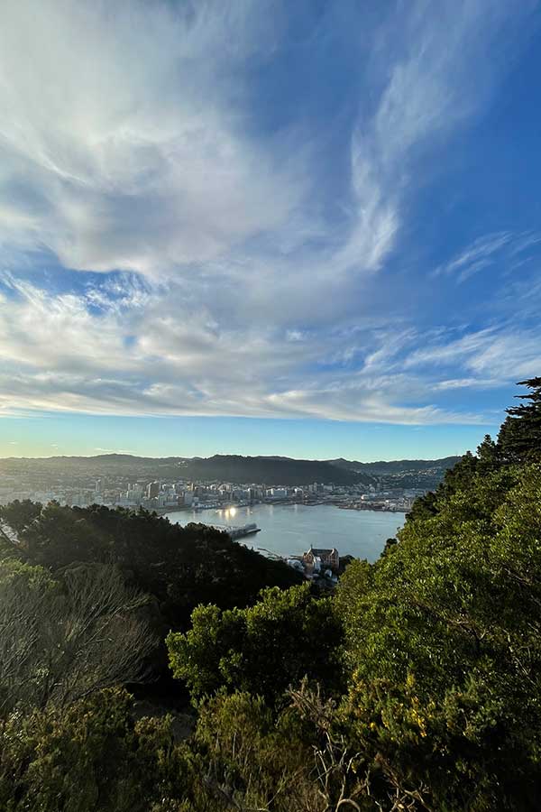 Wellington on a Good Day — photo 3
