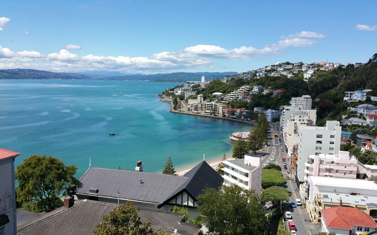 Wellington on a Good Day — photo 5