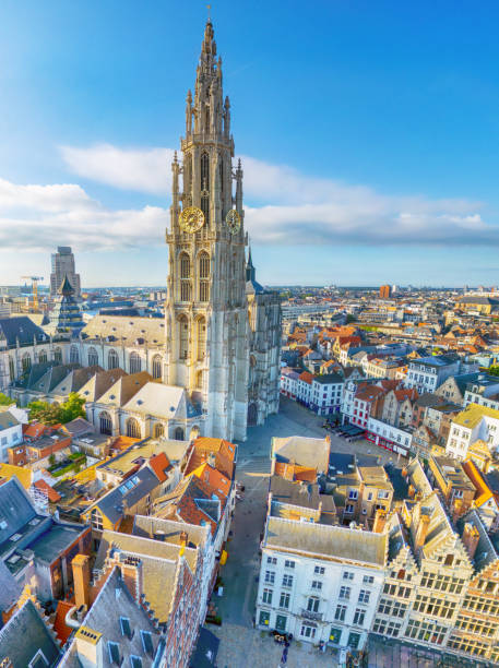 History and Culture Tour of Antwerp