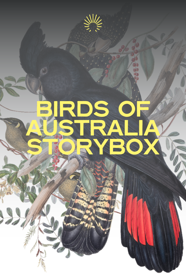 Birds of Australia STORYBOX