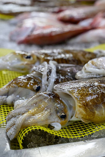 Food Tour of Faro — photo 2