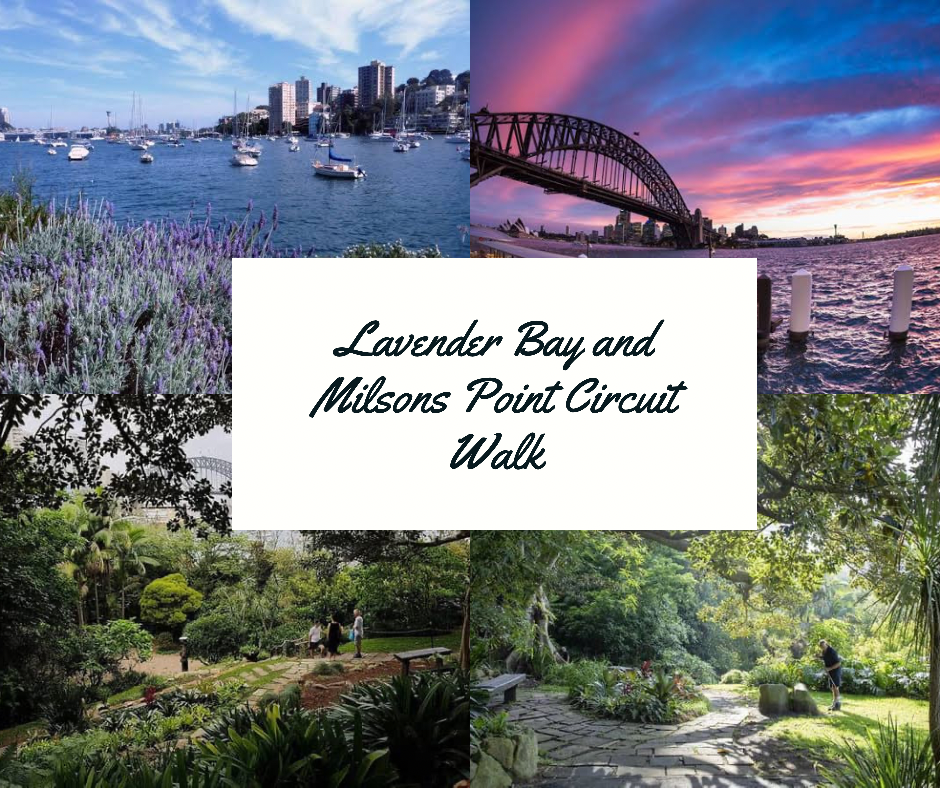 Lavender Bay and Milsons Point Circuit Walk 